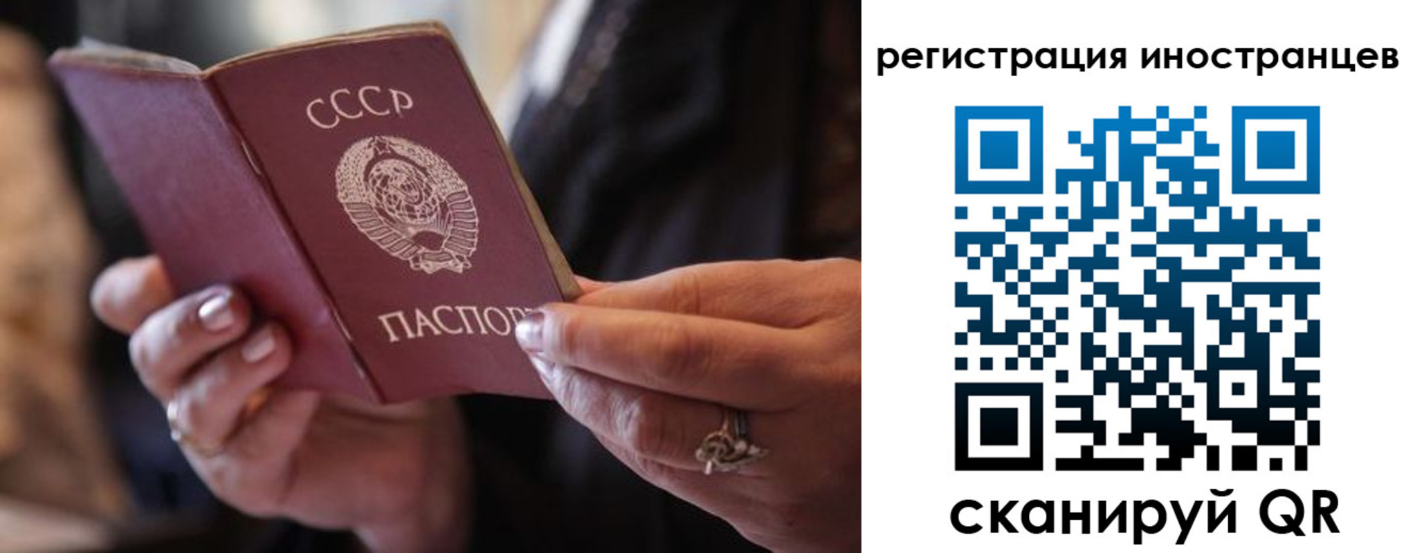 где прописаться в Черноголовке